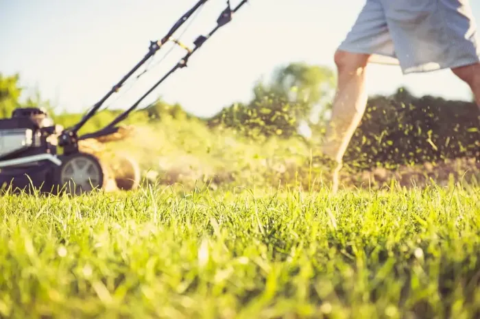 Can you mow wet grass in Costa Mesa, CA