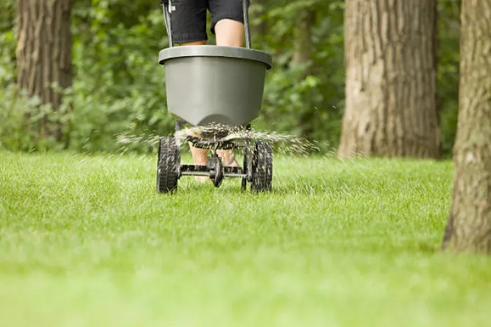 Dependable Lawn Fertilization in Costa Mesa, CA