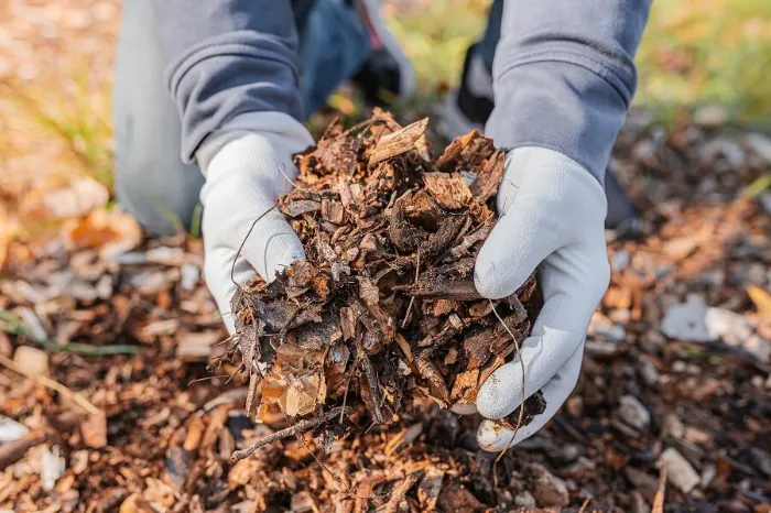 Dependable Mulching in Costa Mesa, CA