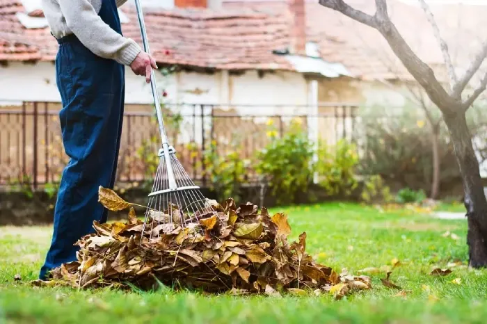 Detailed Yard Cleanup in Costa Mesa, CA