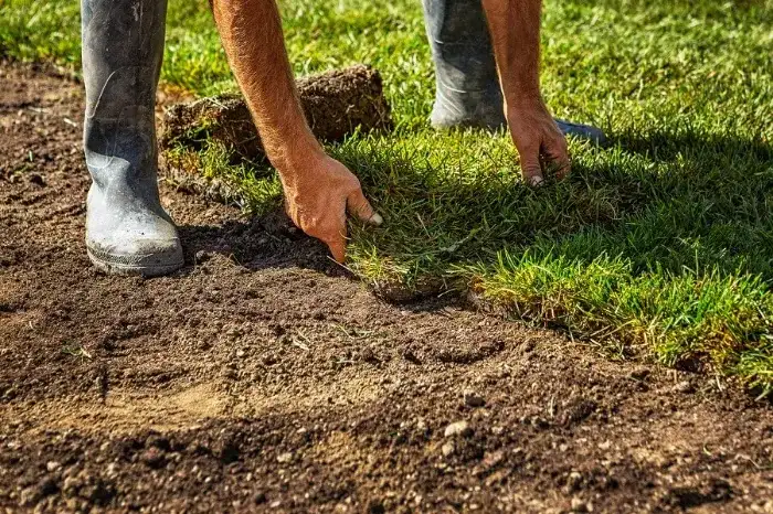 Excellent Sod Installation in Costa Mesa, CA