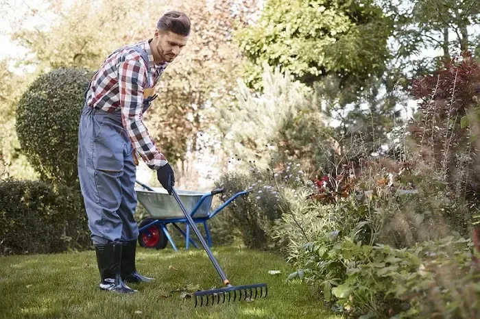 Exceptional Yard Cleanup in Costa Mesa, CA