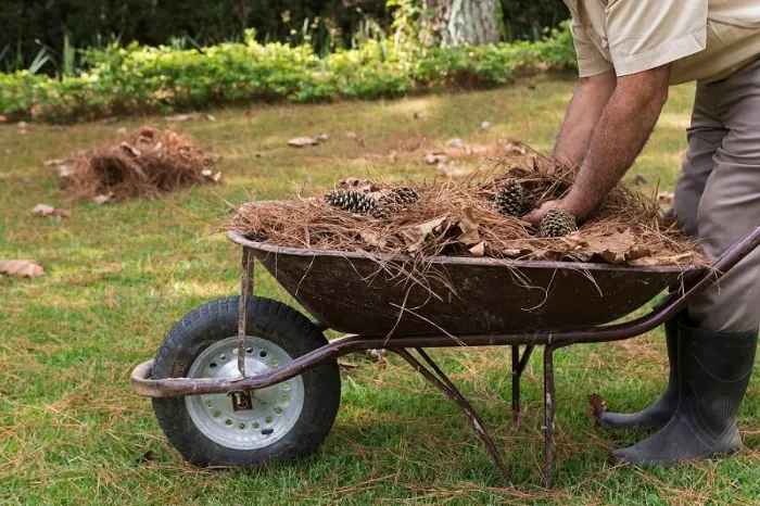 How To Clean A Backyard in Costa Mesa, CA