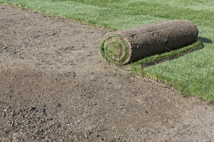 How long after installing sod can you walk on it Costa Mesa, CA