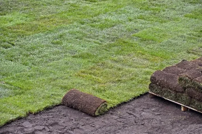 How to lay sod over existing lawn Costa Mesa, CA