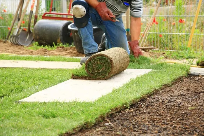 How to lay sod over existing lawn in Costa Mesa, CA