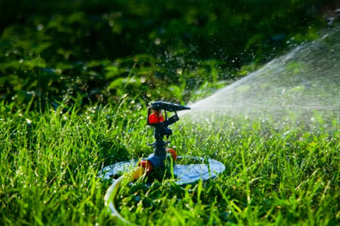 Irrigation and Sod Installation