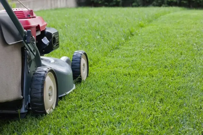 Reliable Lawn Mowing in Costa Mesa, CA