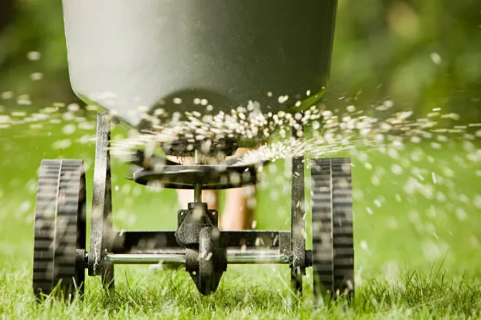 Top-notch Lawn Fertilization in Costa Mesa, CA