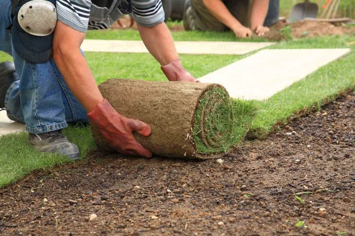 Trusted Sod Installation in Costa Mesa, CA