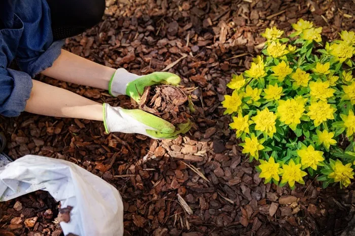 What does mulch do in Costa Mesa, CA