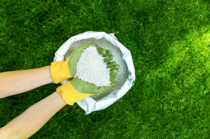 When is the best time to fertilize your lawn Costa Mesa, CA