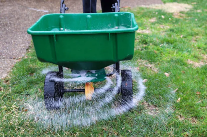 When is the best time to fertilize your lawn in Costa Mesa, CA